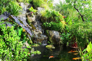 Bahçe güzel ve küçük bir şelale havuzları ile. Birçok güzel bitki.