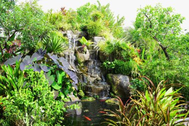 Bahçe güzel ve küçük bir şelale havuzları ile. Birçok güzel bitki.