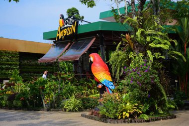 Bahçe güzel ve küçük bir şelale havuzları ile. Birçok güzel bitki.