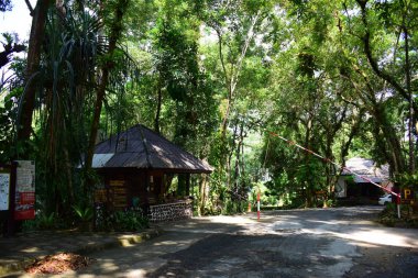 Güzel bahçe küçük şelale ve balık gölet. Birçok güzel bitki
