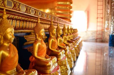 Altın Buda resim. Saygı Budist sutraları, Wat Luang Pothit, Tayland