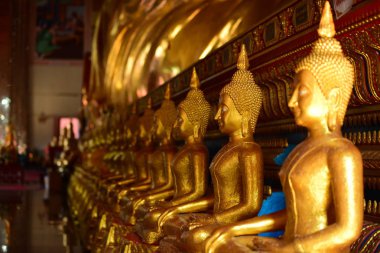 Altın Buda resim. Saygı Budist sutraları, Wat Luang Pothit, Tayland