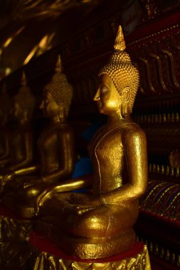 Altın Buda resim. Saygı Budist sutraları, Wat Luang Pothit, Tayland