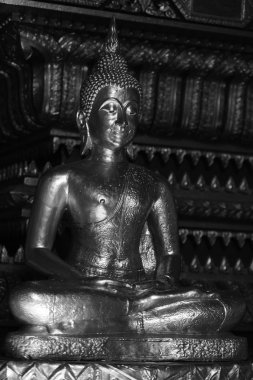 Altın Buda resim. Saygı Budist sutraları, Wat Luang Pothit, Tayland