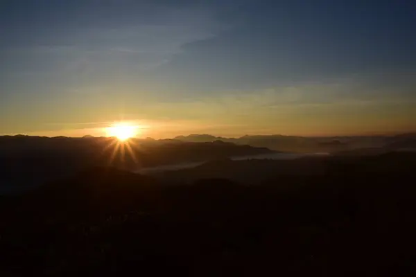 树枝和树叶是美丽的天空形状 — 图库照片