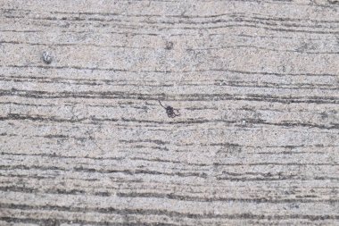 Ahşap sepet örgüsü arka plan resmi kullan.