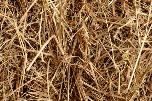 Dry Straw Prepared Animal Feed Use Background Image — Stock Photo, Image