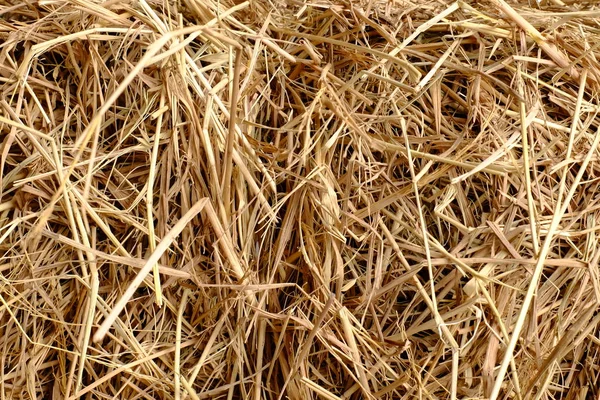 Trockenstroh Wird Als Tierfutter Zubereitet Verwendung Als Hintergrundbild — Stockfoto