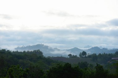 Güzel doğal sahne. Dağ gökyüzü ve sabahın erken saatlerinde sis. Gökyüzü güzel.