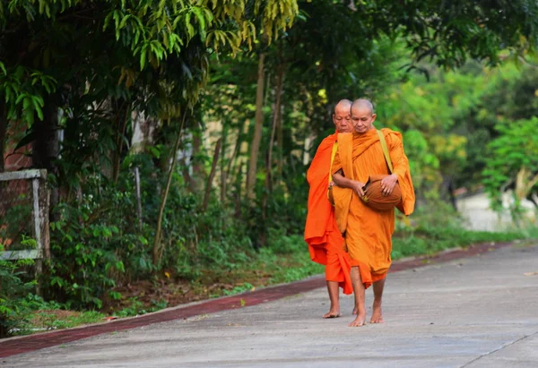 Buddhist Monks Walking Park Royalty Free Stock Images