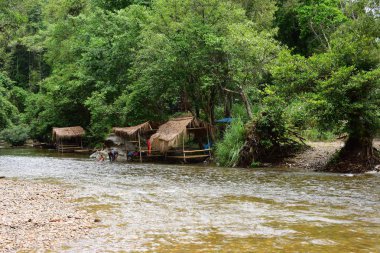 Nehir ve büyük ağaçlar. Gökyüzü ve bulutlar Tayland orman.