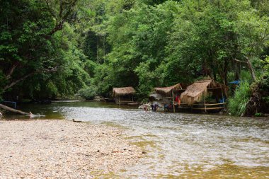 Nehir ve büyük ağaçlar. Gökyüzü ve bulutlar Tayland orman.