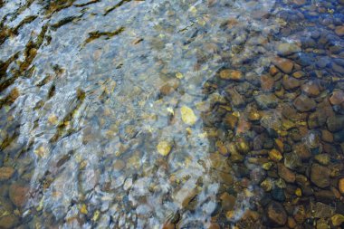 Berrak su akışındaki kayalar Arka plan görüntüsü olarak kullanın.