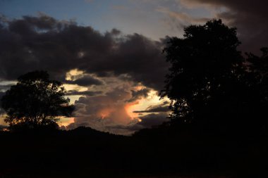 Gün batımında karanlık sisli orman