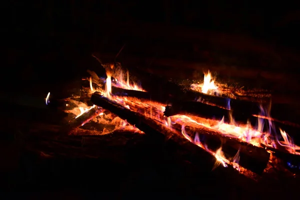 Φωτιά Έκαψε Στη Μέση Του Δάσους — Φωτογραφία Αρχείου
