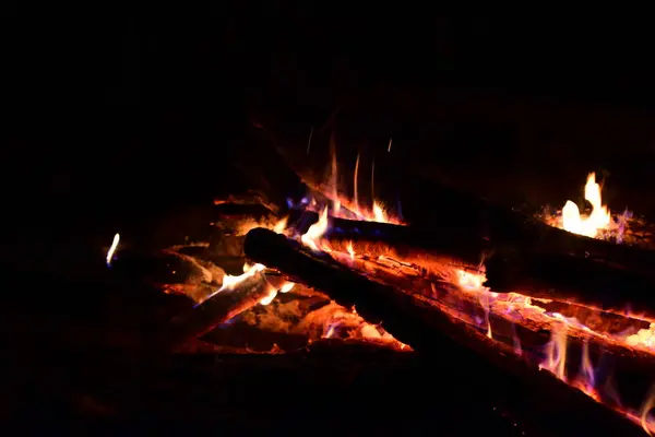 Fuego Ardía Medio Del Bosque — Foto de Stock