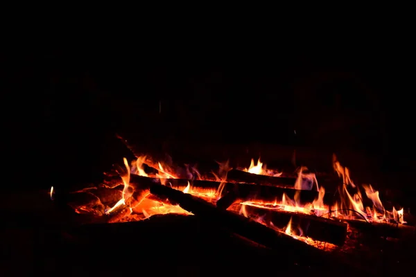 Het Vuur Brandde Het Midden Van Het Bos — Stockfoto