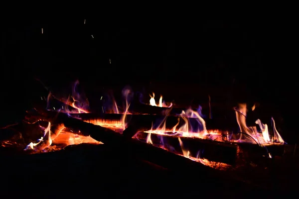 Fuego Ardía Medio Del Bosque — Foto de Stock