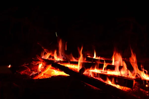 Fuoco Bruciò Mezzo Alla Foresta — Foto Stock