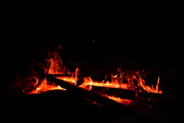 Fuego Ardía Medio Del Bosque — Foto de Stock