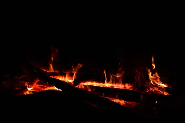 森の中で燃やした火 — ストック写真