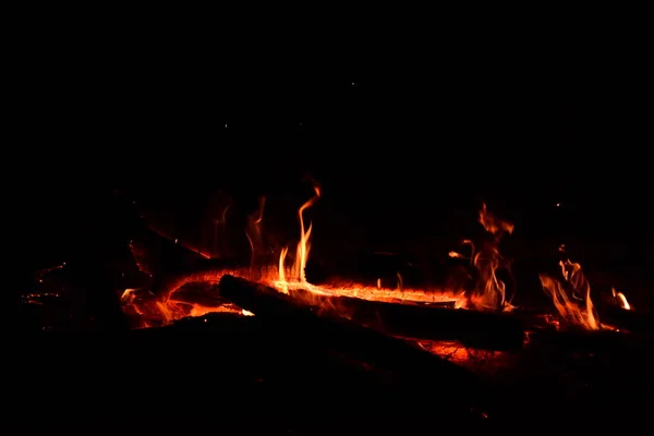 森の中で燃やした火 — ストック写真