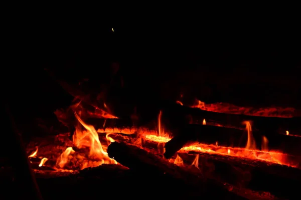 Fire Burned Middle Forest — Stock Photo, Image