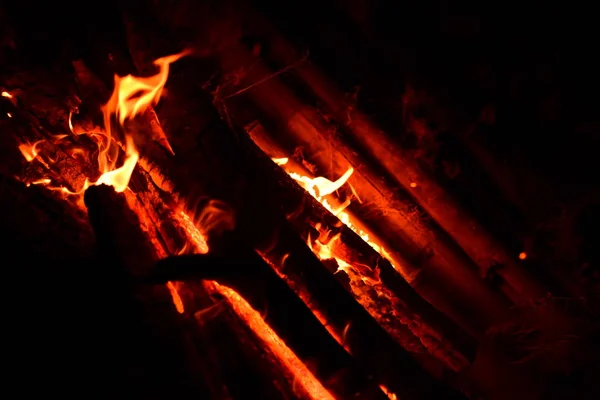 Elden Brann Mitt Skogen — Stockfoto