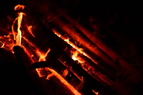Elden Brann Mitt Skogen — Stockfoto