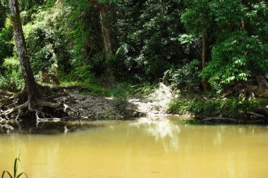 Şelale yağmur ormanlarında. Warterfall Karnchanaburi il Tayland.