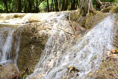 Şelale yağmur ormanlarında Karnchanaburi il Tayland Tayland Warterfall