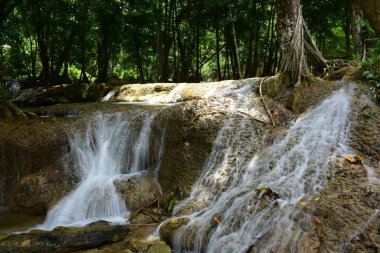 Şelale yağmur ormanlarında Karnchanaburi il Tayland Tayland Warterfall