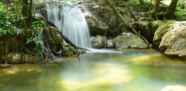 tropikal ormanda güzel şelale