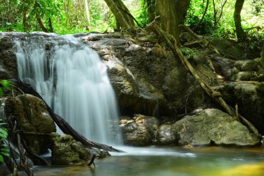 Şelale yağmur ormanlarında Thailand.Warterfall Karnchanaburi il Tayland