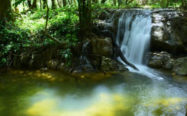 Şelale yağmur ormanlarında Karnchanaburi il Tayland Tayland Warterfall