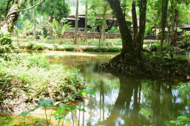 Şelale yağmur ormanlarında Thailand.Warterfall Karnchanaburi il Tayland