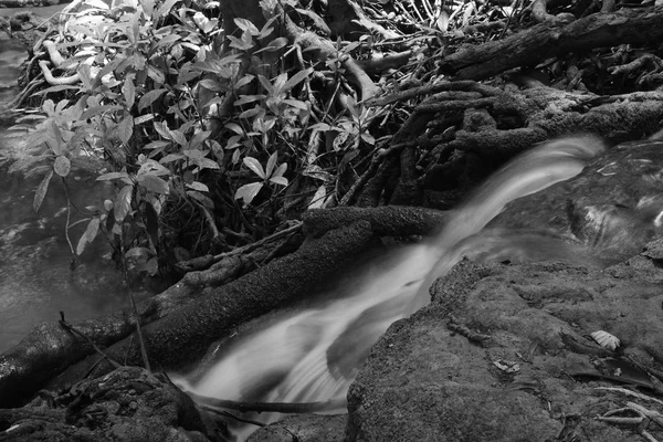 Водопад Тропических Лесах Тайланда Водопад Провинции Карнчанабури Таиланд — стоковое фото