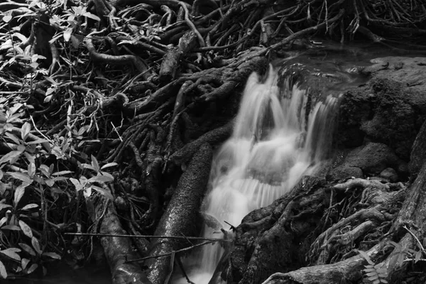 熱帯林の美しい滝 — ストック写真