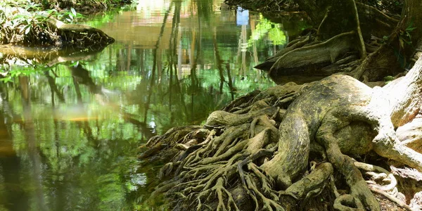 タイの Karnchanaburi Thailand Warterfall の熱帯雨林の滝 — ストック写真