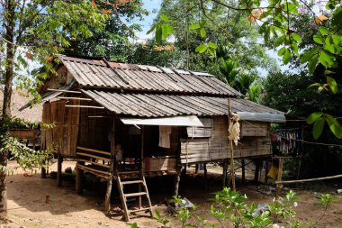 Tropikal orman içinde ahşap ev
