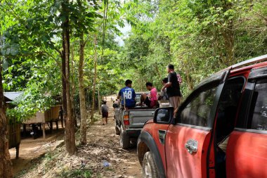 Tayland tropikal ormanda Otomobil