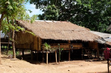 Tropikal orman içinde ahşap ev