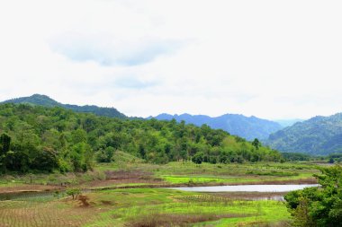 Dağlar, gökyüzü, yeşil ormanlar arasında akarsu manzarası. Mavi gökyüzü ve parlak gün içinde güzel bulutlar.