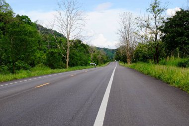 Dağ yolundan ağaçları ile. Manzaralı yoldan yeşil ağaçlar ve gökyüzü vardır. Tayland seyahat.