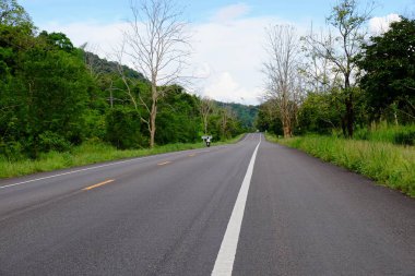 Dağ yolundan ağaçları ile. Manzaralı yoldan yeşil ağaçlar ve gökyüzü vardır. Tayland seyahat.