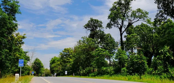 Górskie Drogi Drzew Malownicza Trasa Zielone Drzewa Niebo Podróż Tajlandii — Zdjęcie stockowe