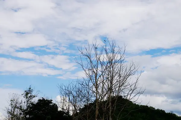 Blick Auf Berge Blauen Himmel Und Schöne Wolken Hellen Tag — Stockfoto