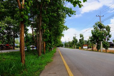 Dağ yolundan ağaçları ile. Manzaralı yoldan yeşil ağaçlar ve gökyüzü vardır. Tayland seyahat.