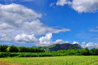 Dağlar, gökyüzü, yeşil forests.green alanlar arasında akarsu ve parlak güneşli gün akışlarında görünümünü. Mavi gökyüzü ve parlak gün içinde güzel bulutlar.