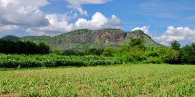 Dağlar, gökyüzü, yeşil forests.green alanlar arasında akarsu ve parlak güneşli gün akışlarında görünümünü. Mavi gökyüzü ve parlak gün içinde güzel bulutlar.